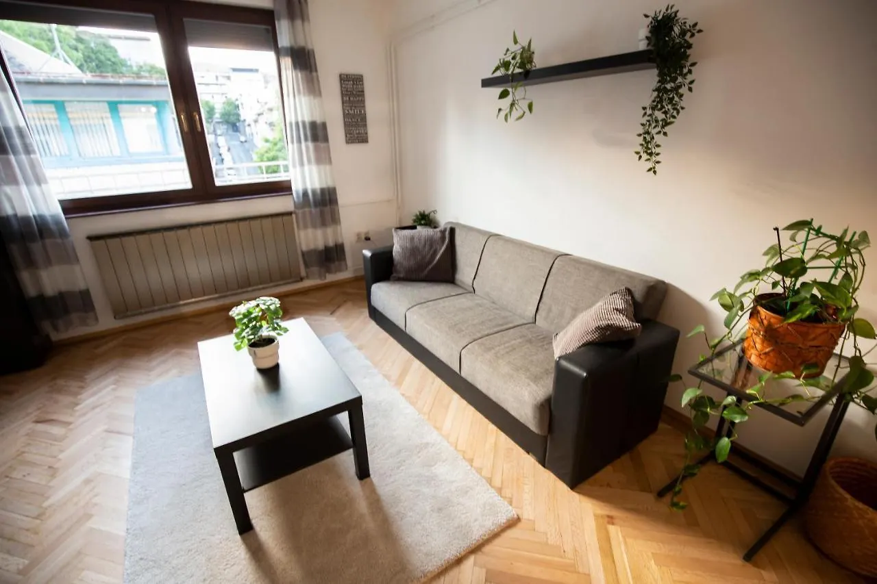 Spacious 2Br Flat In The Centre With The Best View Apartment Budapest 0*,